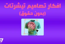 افكار تصاميم تيشرتات بدون حقوق [استراتيجية ربح 1500 دولار بالشهر]