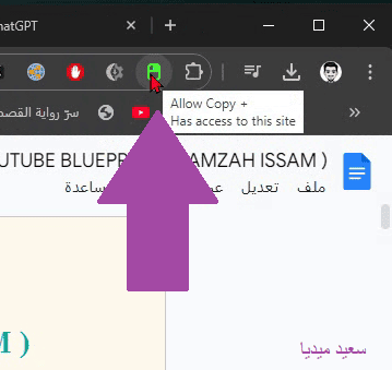 نسخ النص من موقع محمي إليك كيفية نسخ النصوص من موقع يعطل الزر الأيمن 8 طرق 9 نسخ النص من موقع محمي إليك كيفية نسخ النصوص من موقع يعطل الزر الأيمن