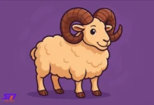 عيد الاضحى بالسعودية 2025 الموعد الرسمي، التفاصيل الفلكية، والإجازات في العالم العربي