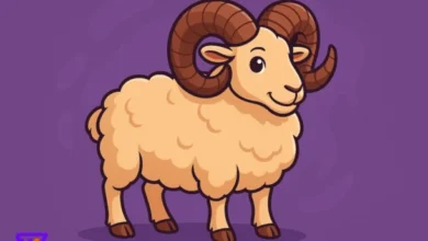عيد الاضحى بالسعودية 2025 الموعد الرسمي، التفاصيل الفلكية، والإجازات في العالم العربي